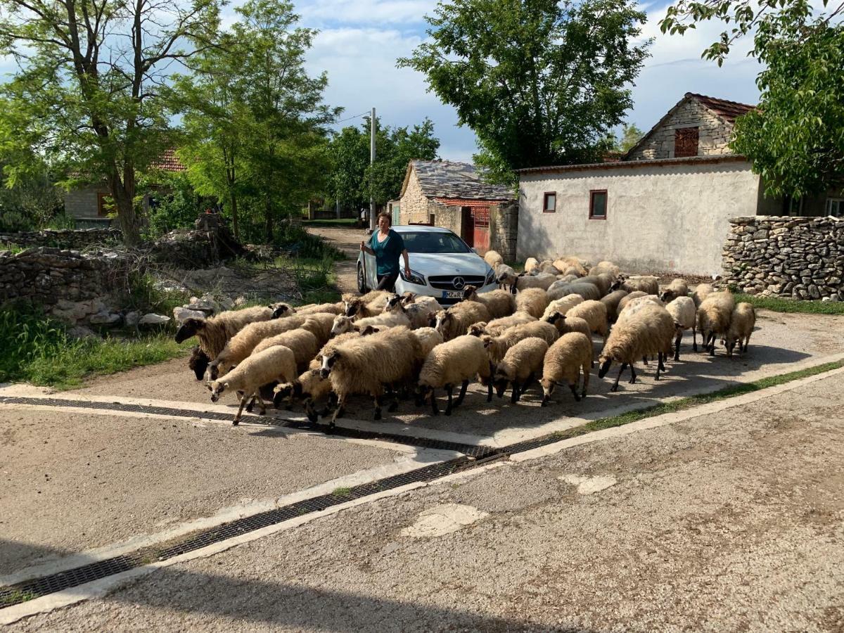 Ferienhaus Jadranka Kistanje Kültér fotó